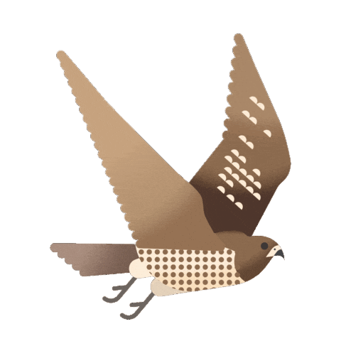 Falcon Sticker by Visit Qatar