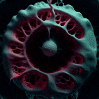 Space Network GIF by Aleksey Efremov
