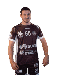 IstresProvenceHandball handball andrea lidl provence Sticker