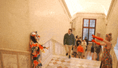 Celebration GIF by Venice to Venice