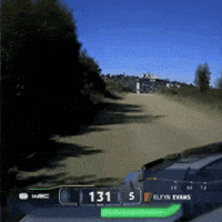 Show Fans GIF by FIA World Rally Championship