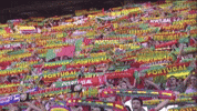 Portugal National Football Team GIF by UEFA