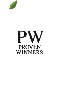 Sticker by provenwinnerseu