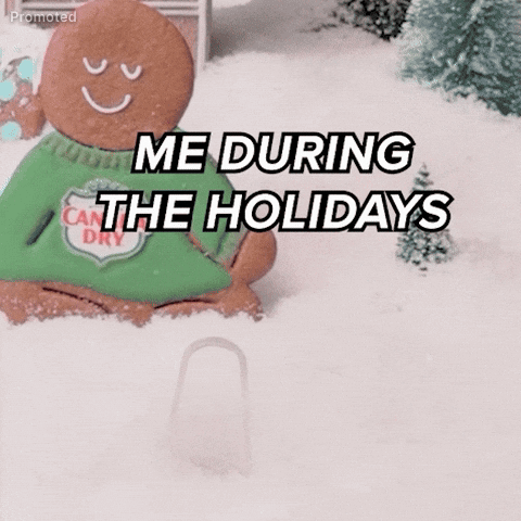 Me During The Holidays GIF by Canada Dry Ginger Ale
