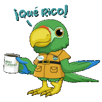Cafe Rico Sticker by VoyTuristeando
