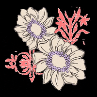 FalabellaCo falabella fatpandora falabellacolombia fatpandoraxfalabella GIF