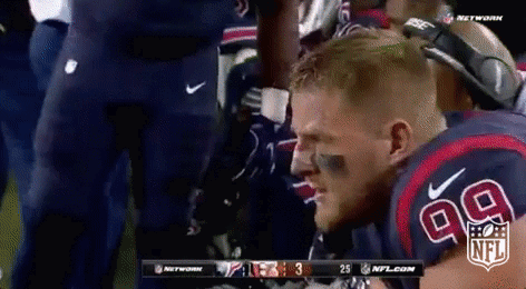 houston texans football GIF by NFL