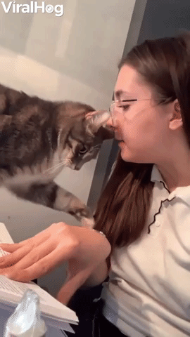 Mom Surprises Cat with Retaliation Bite