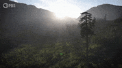 Big Lonely Doug GIF by PBS Digital Studios