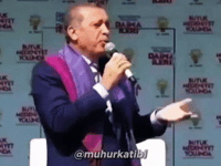 Rte Reis GIF