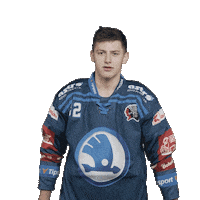Hockey Thumbs Up Sticker by HC Škoda Plzeň