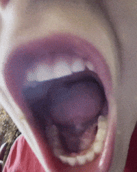 Coconut Yooo GIF