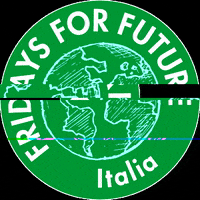 FridaysForFutureItalia fridaysforfuture fridaysforfutureitalia GIF