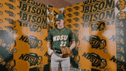 Baseball Bison GIF by NDSU Athletics