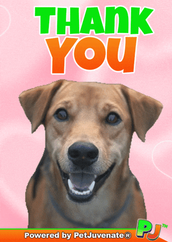 Valentines Day Love GIF by PetJuvenate - PJ