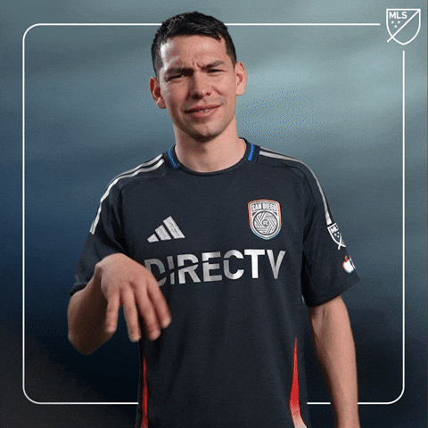 Vamos Lets Go GIF by Major League Soccer