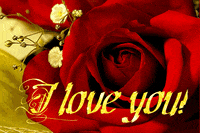 love GIF