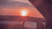Happy Fun GIF by Catie Offerman