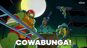 rise of the tmnt cowabunga GIF by Teenage Mutant Ninja Turtles