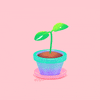 Grow Flower Pot GIF by Michael Shillingburg