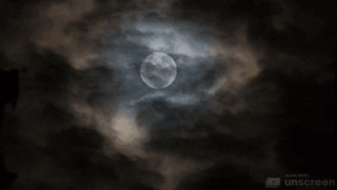 Halloween Night GIF by Tech filter