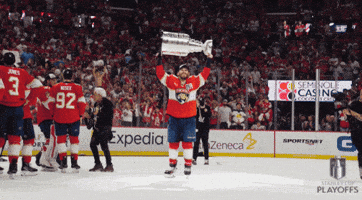 Stanley Cup Playoffs Win GIF by NHL