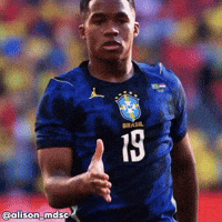 Brasilhexa GIF