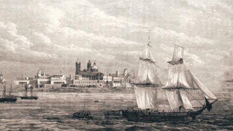 TelemundoUy giphygifmaker GIF