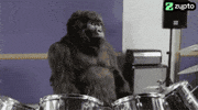 ZyptoPower crypto drums ape gorilla GIF