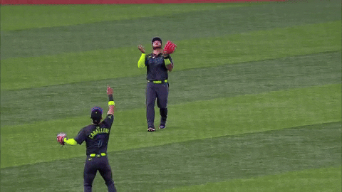 Major League Baseball Running GIF by MLB