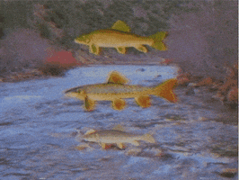 vintage water GIF by rotomangler