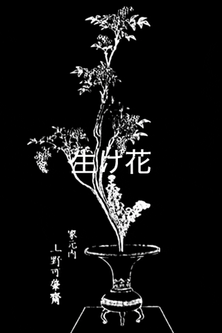 ikebanateart_do giphygifmaker ikebana ikebanateartdo 生け花 GIF