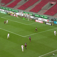 1 Fc Cologne Football GIF by 1. FC Köln