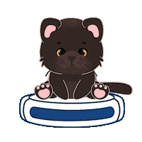 Cat Fun Sticker