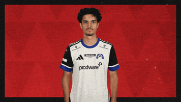 Hamburger Sv What GIF by Bundesliga
