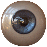 Eye Sticker