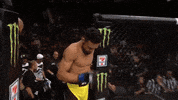 ufc 213 douglas silva de andrade GIF