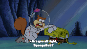 season 10 episode 3 GIF by SpongeBob SquarePants