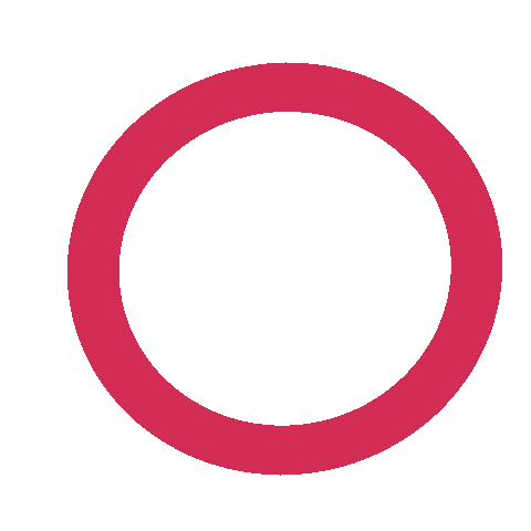 Red Circle Highlight Sticker