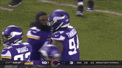 Football Nfl GIF by Minnesota Vikings