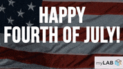 independence day fireworks GIF by myLAB Box