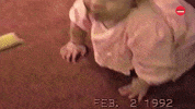 Dog GIF by BuzzFeed