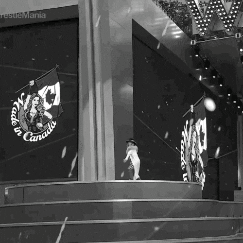 Pose Entrance GIF by Trish Stratus