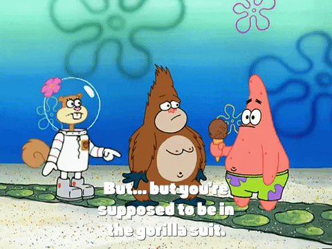 season 3 GIF by SpongeBob SquarePants