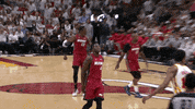 Nba Playoffs No GIF by NBA