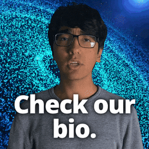 Check Checking GIF