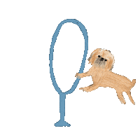 Dog Jumping Sticker by Andrea Caceres