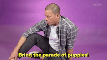 Bring The Parade Of Puppies