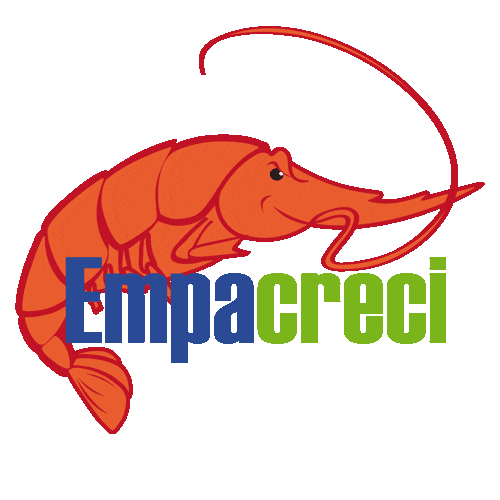 empacreci shrimp seafood shrimps camaron Sticker
