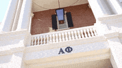 alpha phi news GIF